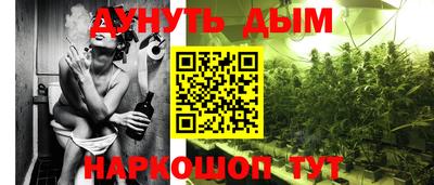 прущие грибы Нальчик