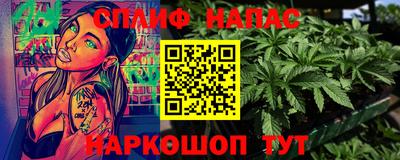прущие грибы Нальчик