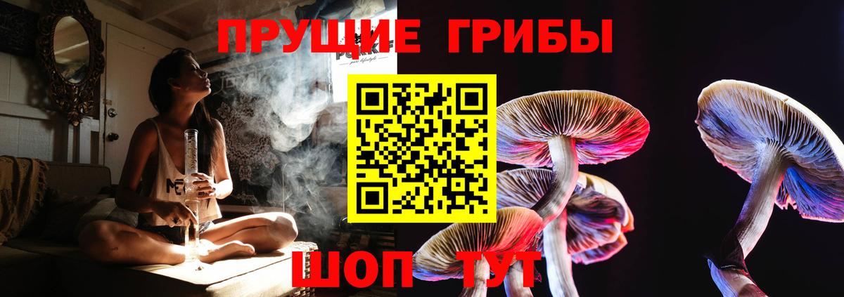 Псилоцибиновые грибы Psilocybe Химки