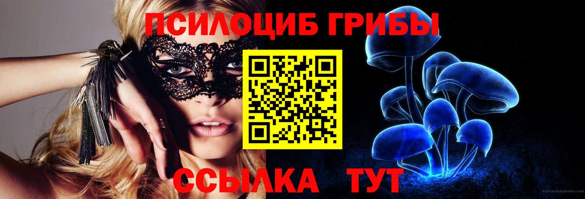 Галлюциногенные грибы Cubensis  Псилоцибиновые грибы прущие грибы  Химки  Вход с VPN 